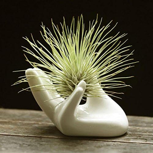 3 Pack Air Plants Holders Ceramic Mini Hand Shape Stand Tillandsia Holder Small Container Pot Hand Shape Small Container Airplant Display Container Pot Plant Decorative Home Decor