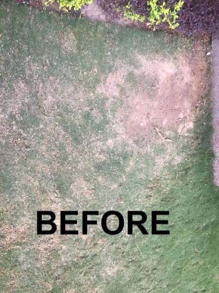 Growers Trust Nematode Control Non-Toxic, Biodegradable - Natural Nematode -Treatment ( Solution Makes 1 Gallon RTU )