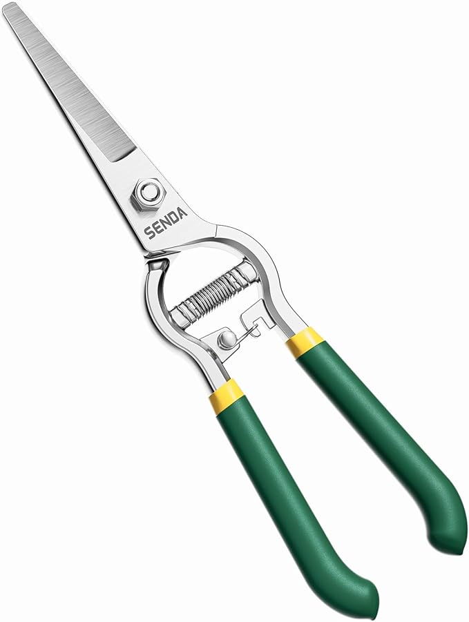 8" Pruning Shears, Dual-Color Coated Garden Scissors with Non-Slip Ergonomic Handle, Bypass Pruning Shears for Gardening, Trimming & Branch Cutting