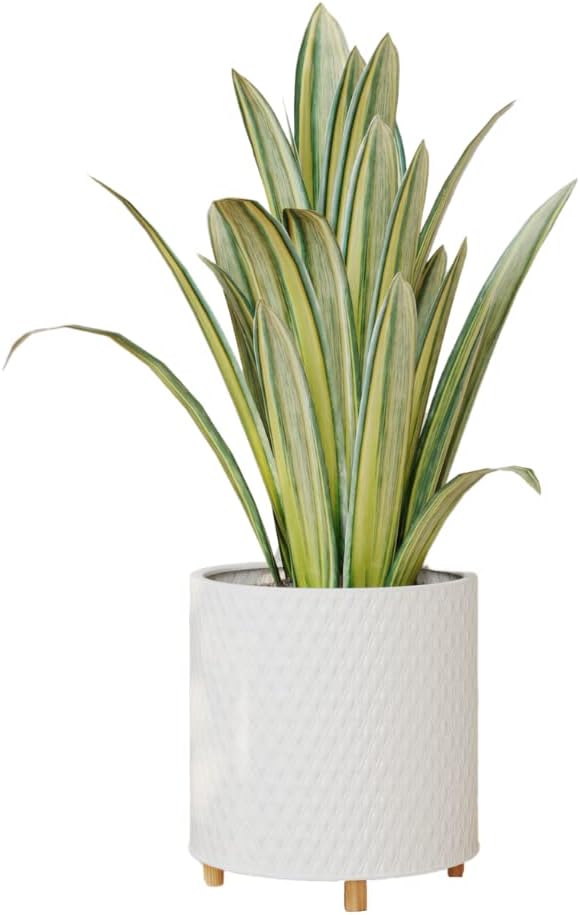 EverNest Claire Modern Indoor Plant Pot with Stand, White Pattern, 12 Inch, SelectBase, Neutral Mid-Century Modern Style, Metal Home Decor Planter (Large, 3 Gallon)