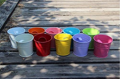 KINGLAKE Flower Pots,10 Pcs Metal Iron Hanging Flower Plant Pots Balcony Garden Plant Planter Baskets Fence Bucket Pot 4'' Flower Holders with Detachable Hook