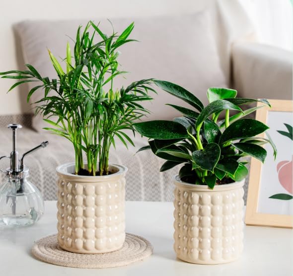 2PCS Self Watering Planters 4.7 Inch Self Watering Pots for Indoor Plants, African Violet Pots with Wick Rope, Flowers, Succulents, Herb, House Plants (Cream)