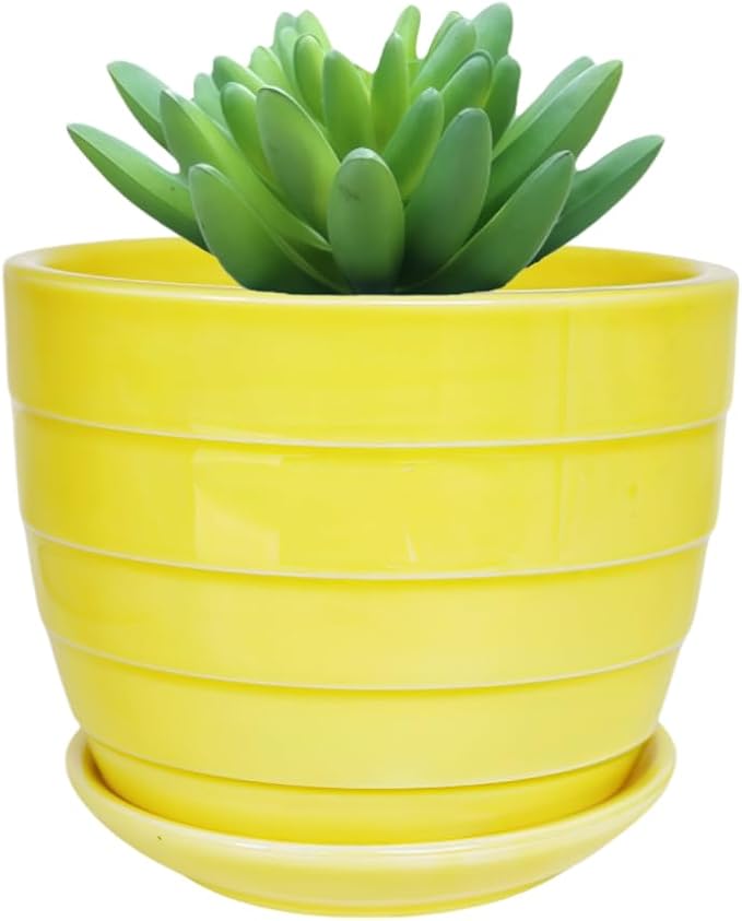Cute Circular Ceramic Home Garden Decoration Succulent Cactus Flower Pots Container -Plant Not Included (Yellow, 4.13 Inch)