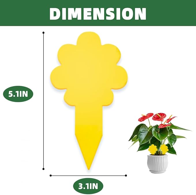 Sticky Yellow Fungus Gnat Traps, Easier to Use, No Touching Glue Or Bugs, Targets Species for Gnat, Fruit Fly & Pests, Thoughtfully Designed, High Capture Rate, Kid & Pet Safe, 36 Traps