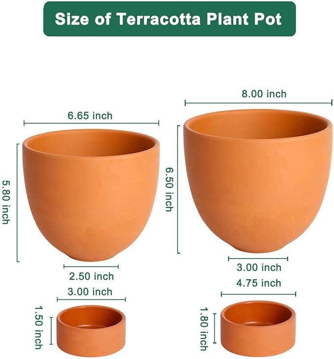 vensovo Terracotta Self Watering Plant Pot - 2 PCS 6 Inch & 8 Inch Terra Cotta Plant Pot with Drainage Hole and Saucer, Small & Large Clay Flower Pot with Tray, Planter for Indoor Outdoor