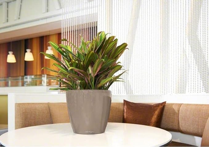 Lechuza Classico LS 21 Shiny Taupe High Gloss, Self-Watering Round Planter, D8.3 H7.9 in