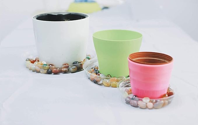 TRUEDAYS 20 Pack 6 Inch Plant Saucers Clear Plant Saucers Flower Pot Plastic Drip Trays Excellent for Indoor & Outdoor Plants