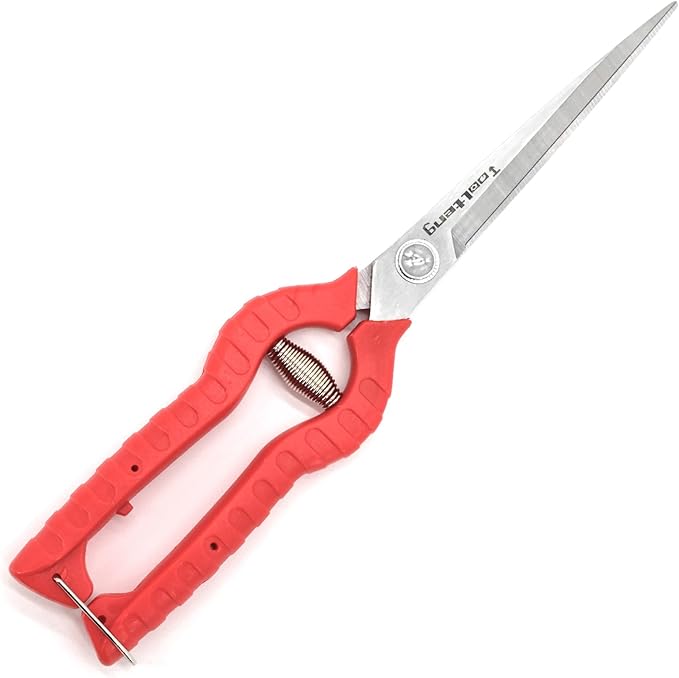 Extra Long Garden Scissor, Stainless Steel Pruning Shears, Bonsai Plant Trimming Scissors for thorny roses plant Flowers Harvesting Herbs Fruits or Vegetables