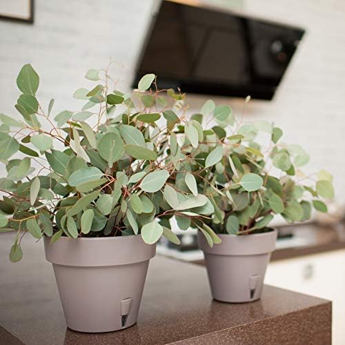 DECOPOTS - Pack of 3 - Self Watering Planter - Height 6.9 inches - Flower Pot with Bottom Watering Level Indicator for All House Plants, Flowers, Herbs (Diameter 7.9", Graphite)