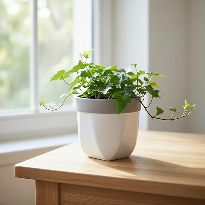 Hosley Grower Versa Pot Planter, 5 Inch - Perfect for Home Decor, Kitchen Decor & Planters for Outdoor Plants, Ideal for Office, Weddings, Floral Arrangements & Spa Settings