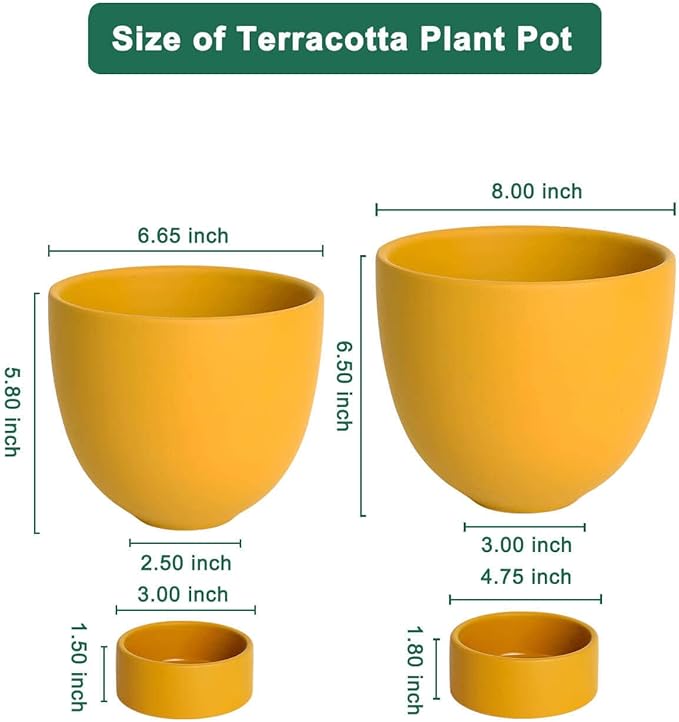 vensovo Yellow Terracotta Self Watering Plant Pot - 2 PCS 6 Inch & 8 Inch Terra Cotta Plant Pot with Drainage Hole and Saucer, Small & Large Clay Flower Pot with Tray, Planter for Indoor Outdoor