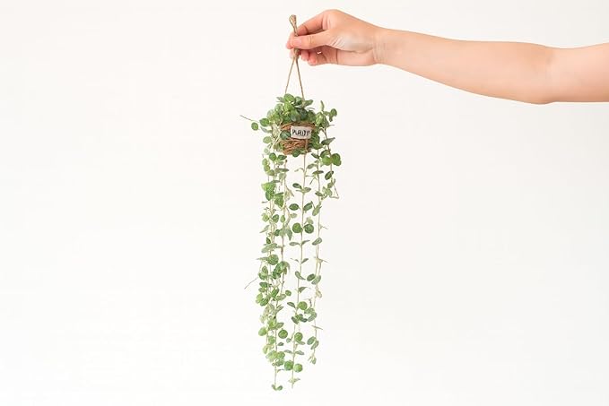 Artificial Plastic Plant Vine Small Hanging Basket Ornament for Indoor Walls, Shelves, Cabinets, Kitchens, Studies, Desks, Living Rooms 3.5-Inch Basket (Leaf B)