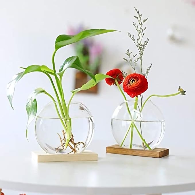Kingbuy Round Glass Desktop Planter with Wooden Stand - Propagation Station for Small Hydroponic Plants, Spider Plants, Pothos, Lucky Bamboo - Terrarium Vase for Home Office Decor, 2-Pack, Brown