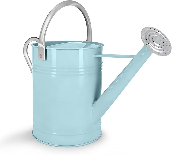 Metal Watering Can for Outdoor Plants, 1.7 Gallon Light Blue Garden Watering Can for Flower, Houseplants, Galvanized Finish