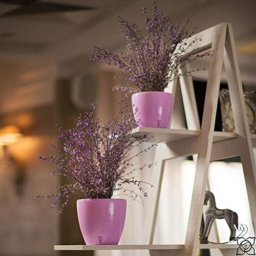 Santino 6.7 Inch Deco Self Watering Pots for Indoor Plants in Jade (Set of 3) - Decorative Flower Pot with Water Level Indicator and Drainage Cartridge for All House Plants, Flowers and Herbs