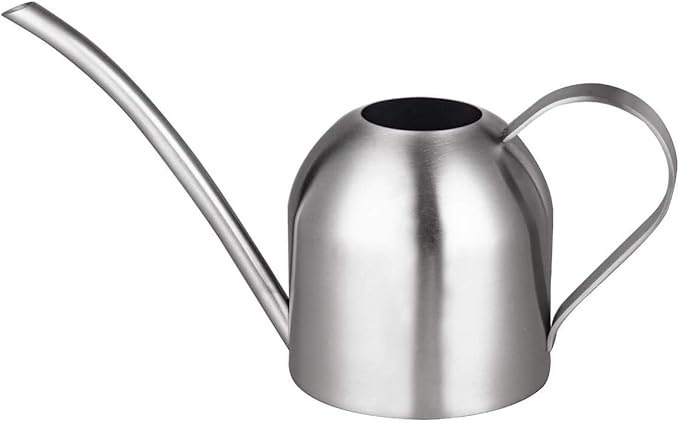 IMEEA Small Watering Can for Indoor Plants, Stainless Steel with Long Spout, 15oz/450ml – Perfect for Desk, Windowsill & Bonsai