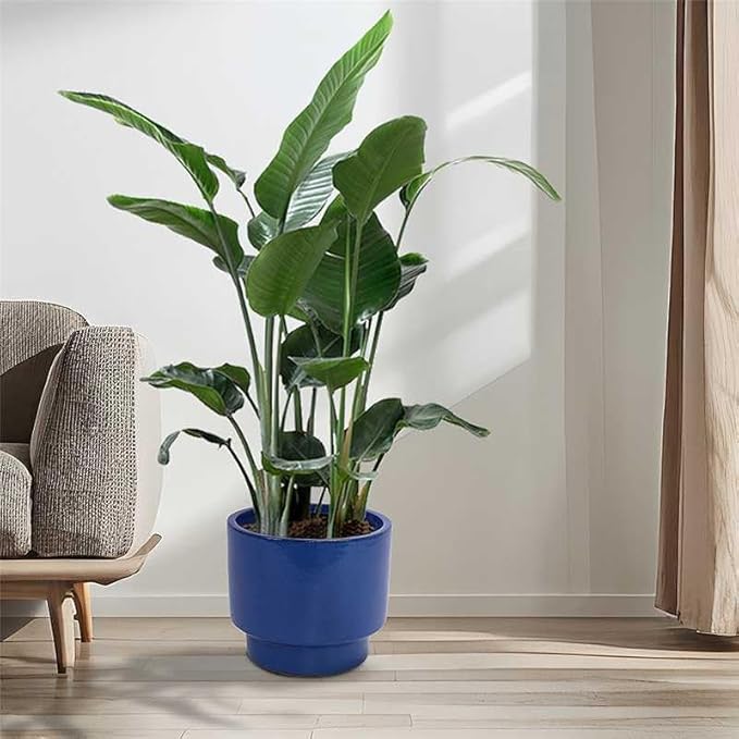 3-Piece Ceramic Flowerpot Set Modern Glossy Planters Elevated Base Drainage Hole Airflow Promoting Round Pots Succulents Flowers Patio Windowsill Frost Heat Weather Resistant (Antique Blue Green)