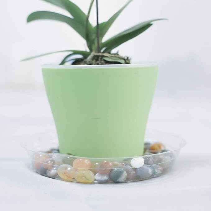 TRUEDAYS 6 Inch 5 Pack Clear Plant Saucers Flower Pot Tray Excellent for Indoor & Outdoor Plants