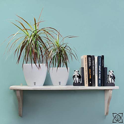 Santino 7.9 Inch Deco Self Watering Pots for Indoor Plants in Shade (Set of 3) - Decorative Flower Pot with Water Level Indicator and Drainage Cartridge for All House Plants, Flowers and Herbs