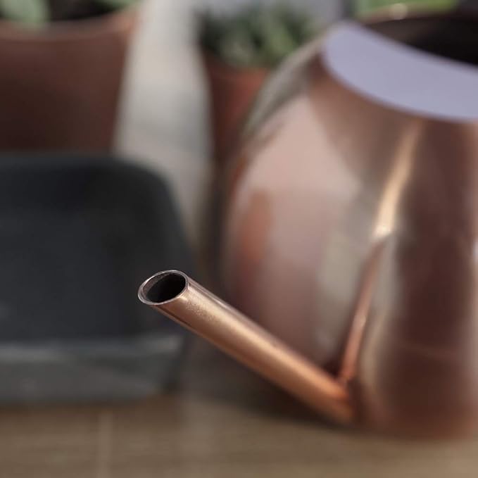 Watering Can with Long Spout and Comfortable Handle, 35 oz/1000ml Small Watering Can for Indoor Plants, Stainless Steel Garden Watering Pot for Indoor House Plants Bonsai Flower Decorative