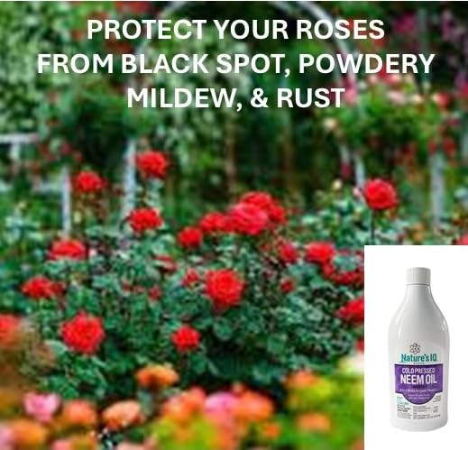 Nature's IQ Advanced Formula Neem Oil Concentrate Twin Pack. Makes up to 42 gallons of Neem Oil Spray for Plants. Just add Water. Insecticide, miticide, Fungicide, and Nematicide. 2-16oz Bottles