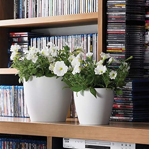 Crescent Too Eva Small Decorative Planter Modern Pot for Plants, Flowers, Herbs & Succulents, No Drain Hole - 12" W, White (Pack of 2)