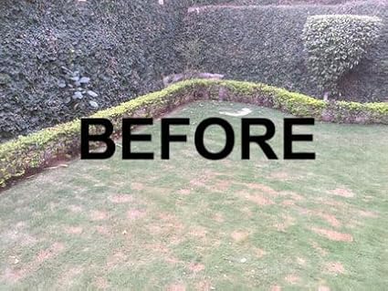 Growers Trust Nematode Control Non-Toxic, Biodegradable - Natural Nematode -Treatment (Solution Makes 5 Gallon RTU )