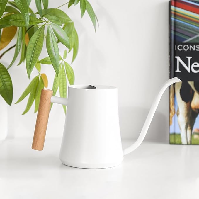 Small Watering Can Indoor Plants Metal Watering Cans 1L/34oz (White)