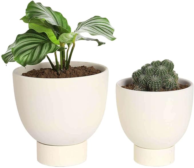 vensovo White Terracotta Self Watering Plant Pot - 2 PCS 6 Inch & 8 Terra Cotta with Drainage Hole and Saucer, Small & Large Clay Flower Pot with Tray, Plant Pot for Indoor Outdoor