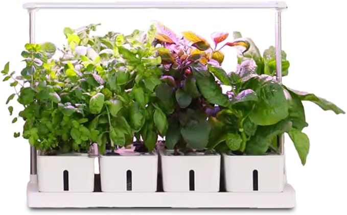 Grow24 Indoor Herb Garden Kit, LED Grow Light, 4 Hydroponic Planter Pots, White