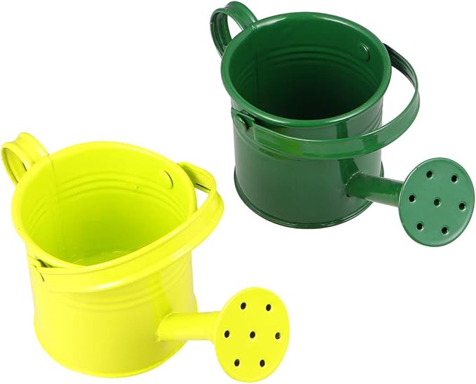 DOITOOL Kids Metal Watering Can, 2pack Small Iron Watering Can for Gardening Succulents Bonsai Houseplants, Mini Water Pot for Children Sprinkling Bucket (Mixed Style: Beige, Blue)