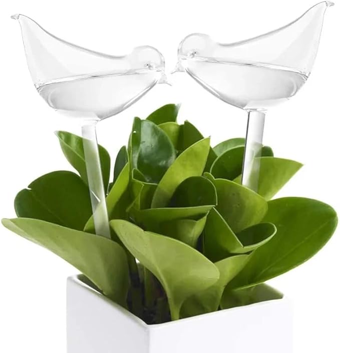 Plant Watering Globes with Bird Design, Self-Watering Bulbs for Plants, Crystal Clear, 3 Pack