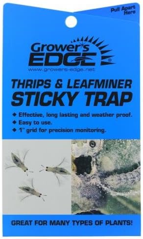 Grower's Edge 704194 Sticky Thrip Leafminer Trap (5 Pack)