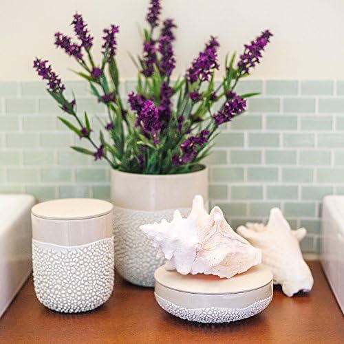Hosley Lichen Box 6.5 Inches High Ivory - Ideal for Home Decor, Kitchen Decor, Office Decor - Perfect Storage Gift for Weddings, Knick-knacks, Trinkets, Planter, Garden Use