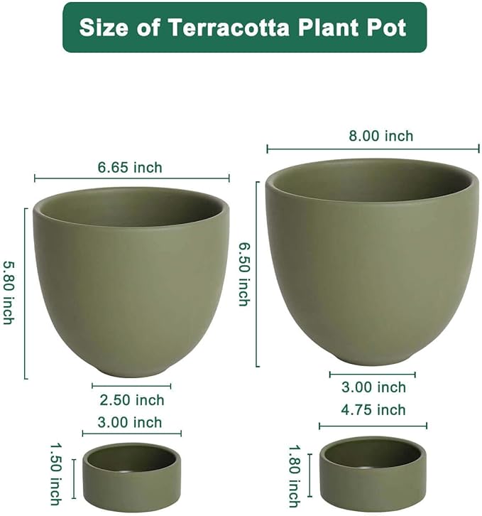 vensovo Green Terracotta Self Watering Plant Pot - 2 PCS 6 Inch & 8 Inch Terra Cotta Plant Pot with Drainage Hole and Saucer, Small & Large Clay Flower Pot with Tray, Planter for Indoor Outdoor