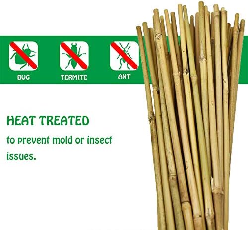 Mininfa Natural Bamboo Stakes 4 Feet, Eco-Friendly Garden Stakes, Plant Stakes Supports Climbing for Tomatoes, Trees, Beans, 25 Pack