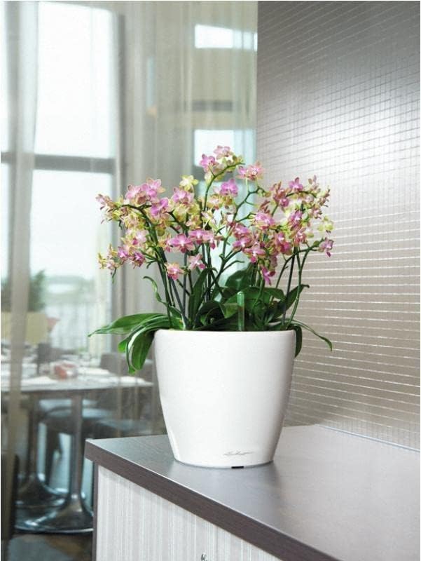 Lechuza Classico LS 28 Cream White High Gloss, Self-Watering Round Planter, D11 H10.2 in