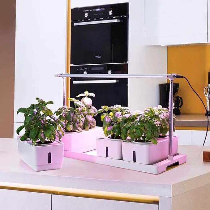 Grow24 Indoor Herb Garden Kit, LED Grow Light, 4 Hydroponic Planter Pots, White
