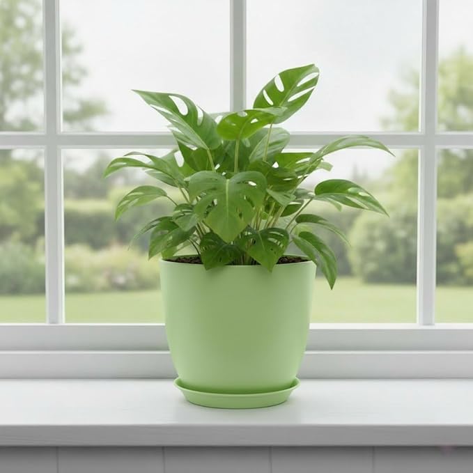 Vanslogreen Plant Pots 8 Inch Set of 6, Flower Pots with Drainage Holes and Saucer, Plastic Garden Planters for Indoor & Outdoor Plants (Green)