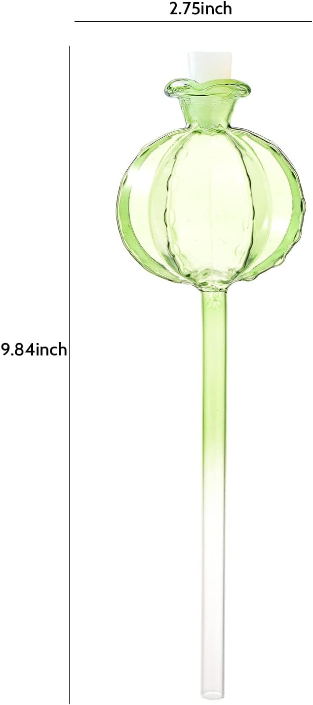 KGCCIZI Self Watering Planter Insert. Plant Watering Devices. 3-Pack Cactus Plant Watering Bulbs. Plant Watering Globes. Plant Gifts Plant Lover Gifts
