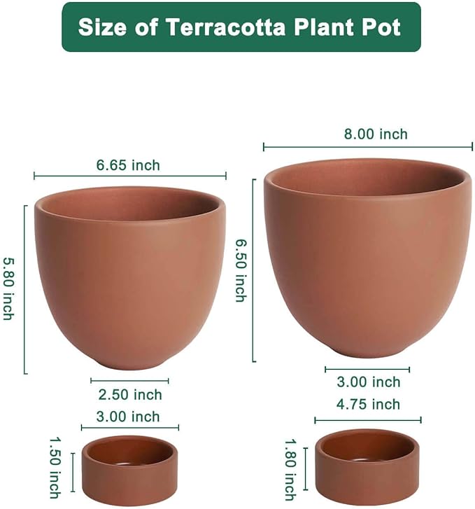 vensovo Dark Terracotta Self Watering Plant Pot - 2 PCS 6 Inch & 8 Inch Terra Cotta Plant Pot with Drainage Hole and Saucer, Small & Large Clay Flower Pot with Tray, Planter for Indoor Outdoor