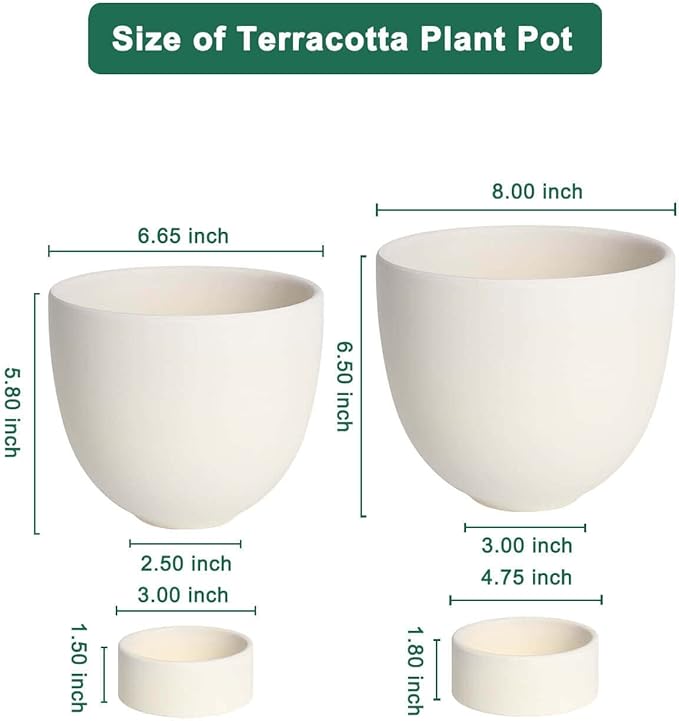 vensovo White Terracotta Self Watering Plant Pot - 2 PCS 6 Inch & 8 Terra Cotta with Drainage Hole and Saucer, Small & Large Clay Flower Pot with Tray, Plant Pot for Indoor Outdoor
