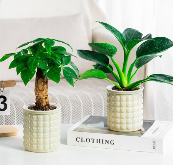 2PCS Self Watering Planters 4.7 Inch Self Watering Pots for Indoor Plants, African Violet Pots with Wick Rope, Flowers, Succulents, Herb, House Plants (Green)
