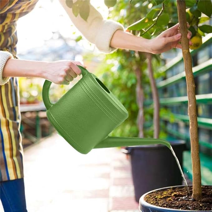 Plant Watering Can for Home Garden - with Long Spout - 1/4 Gallon - Green
