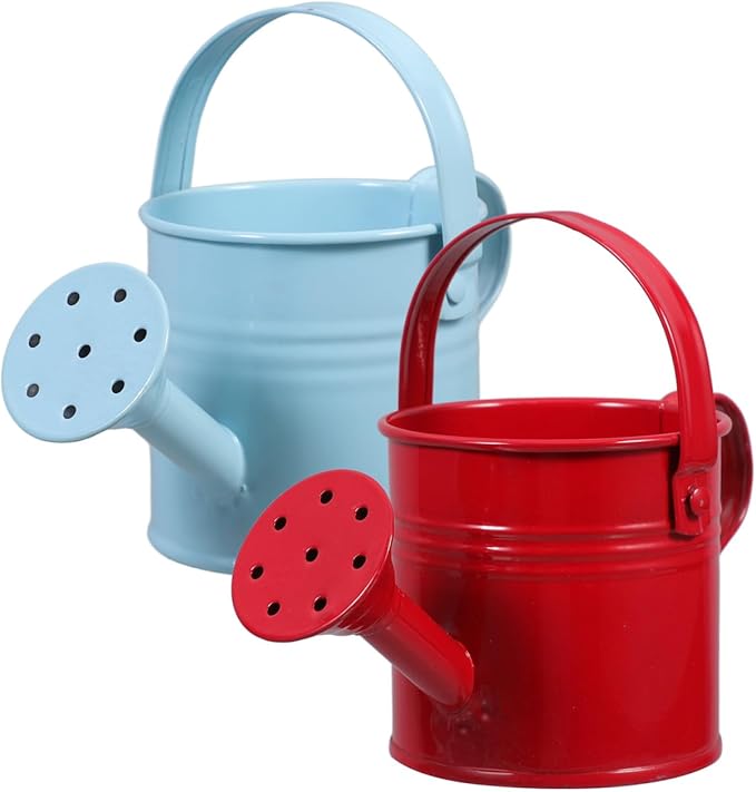 2PCS Metal Watering Can,Small Iron Kid Watering Can Indoor Plants Sprinkling Kettle with Long Spout,Boys Girls Garden Watering Pot for Outdoor Plants or Play Time(Random Colors)