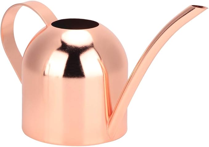 Watering Can, Stainless Steel Watering Pot with Long Spout Mini Houseplant Potted Plants Sprinkling Water Kettle for Indoor Outdoor Succulent Bonsai Garden Flower Gift Decoration 500ml(Rose Gold)