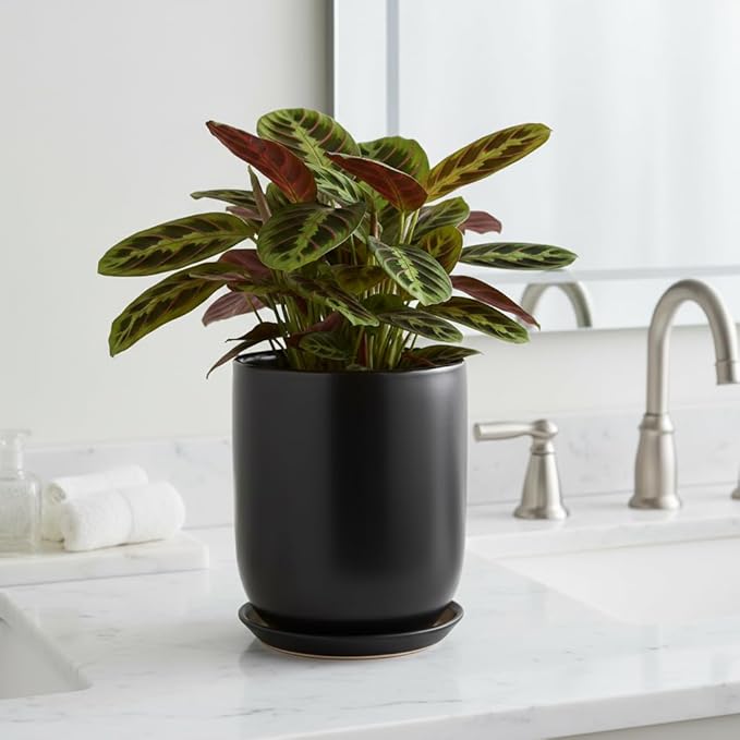 Ceramic Planter 8 Inch - Plant Pot for Indoor Outdoor Plants Cylinder Flower Pot with Drainage Hole and Saucer Black