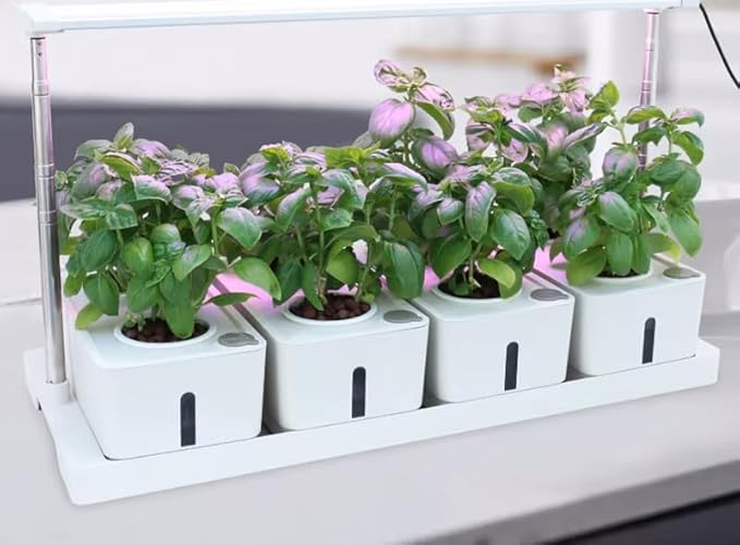 Grow24 Indoor Herb Garden Kit, LED Grow Light, 4 Hydroponic Planter Pots, White