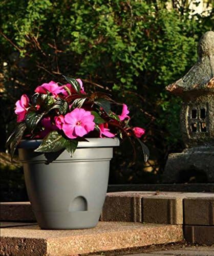 Bloem Living LP0860 Lucca Self-Watering Planter, 8-Inch, Peppercorn
