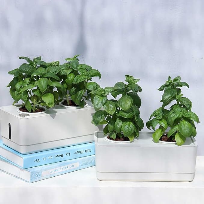 Grow24 Indoor Herb Garden Kit, LED Grow Light, 4 Hydroponic Planter Pots, White